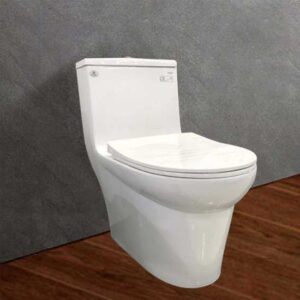 Bàn cầu một khối V65