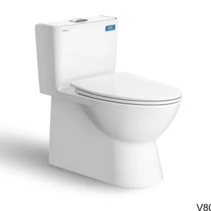 Bàn cầu một khối V808