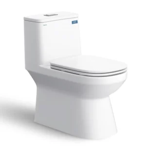 Bàn cầu một khối V816