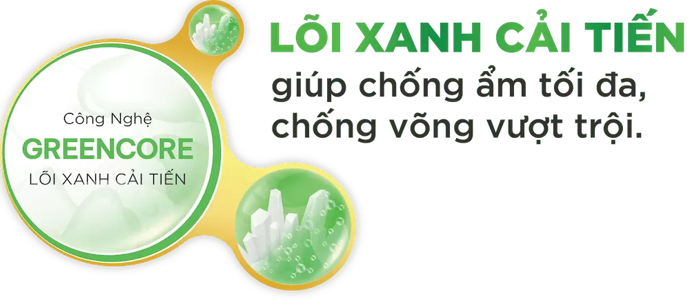 website mb 10