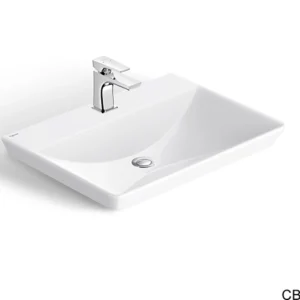 Chậu tủ CB70